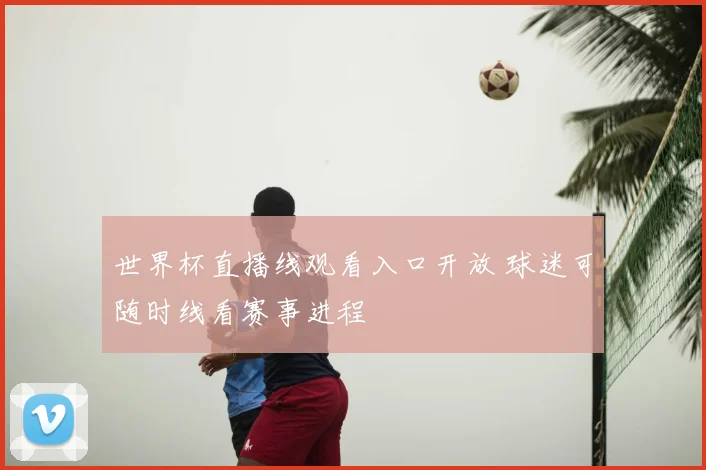 世界杯直播线观看入口开放 球迷可随时线看赛事进程